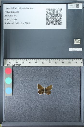 Media type: image;   Entomology 156088